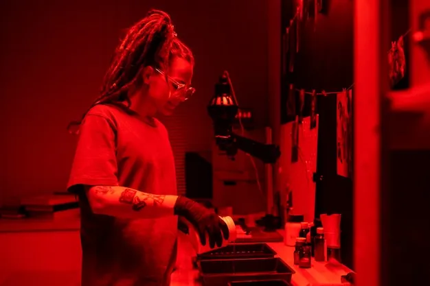 S15 全球总决赛视频